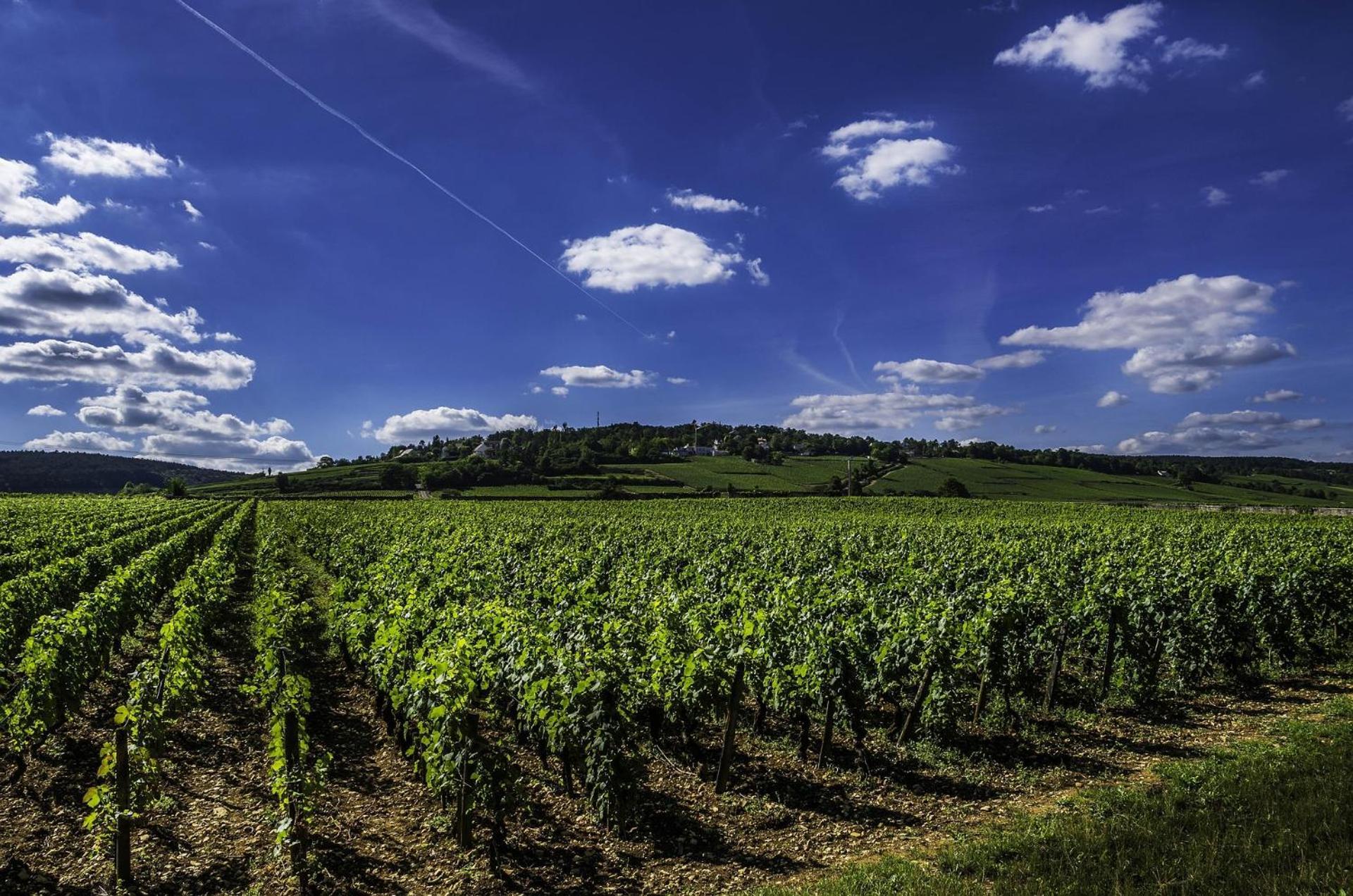 Hotel Les Deux Chevres Gevrey-Chambertin